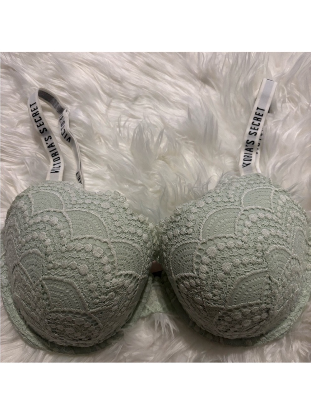 Victoria's Secret Lace Push-Up Bra in Mint Green